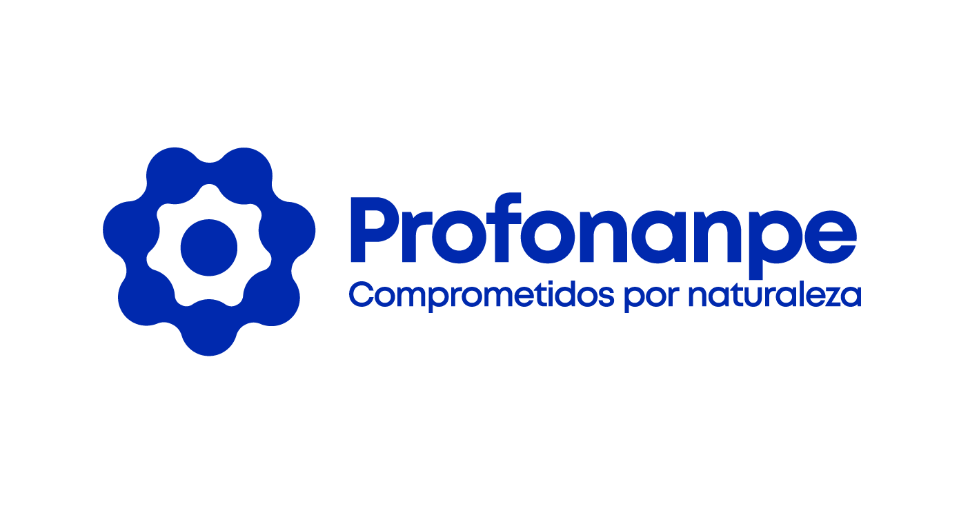 Logo Profonanpe 2020 Final_Mesa de trabajo 1
